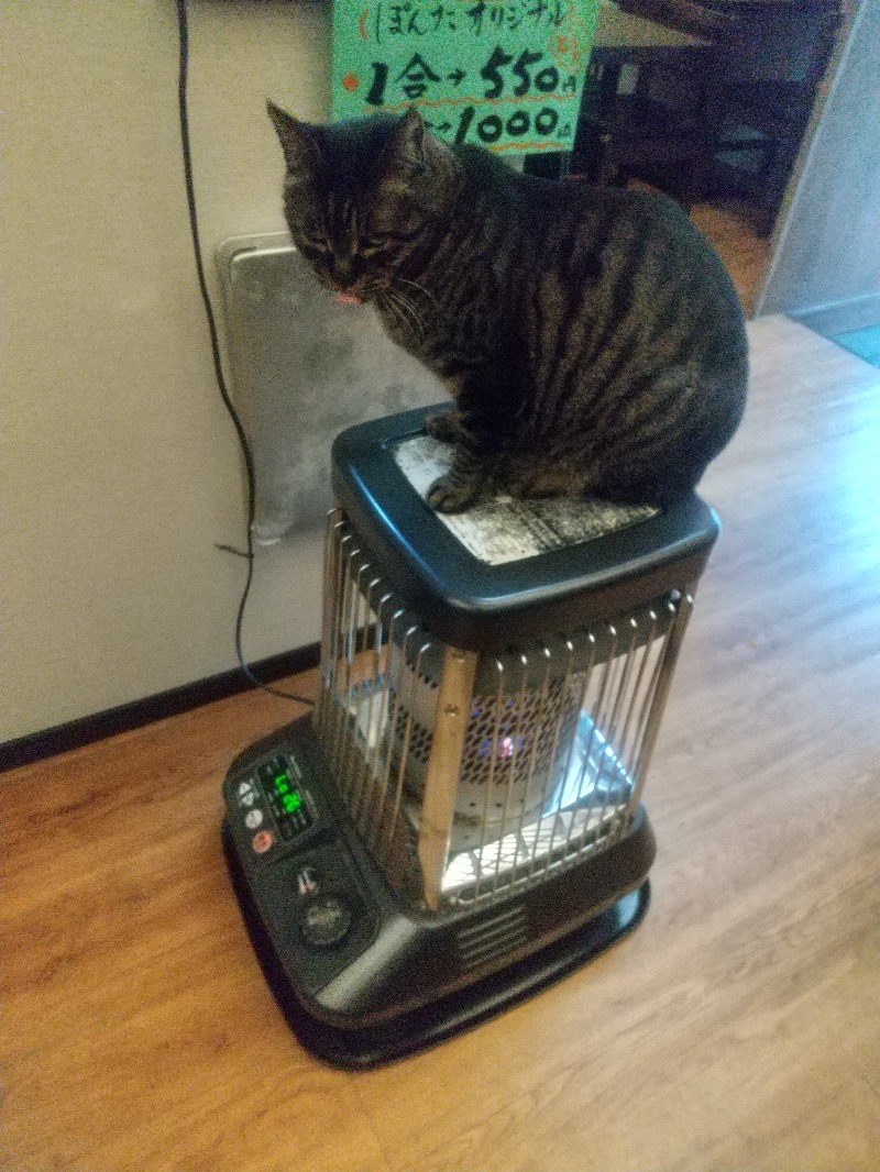 いせっち🦁誰與爭鋒さんのジェクサー・ライトジム&スパ24仙台のサ活写真