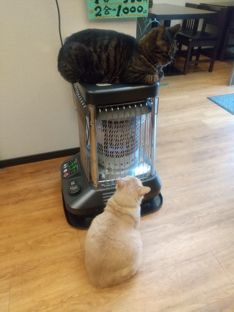 いせっち🦁誰與爭鋒さんのジェクサー・ライトジム&スパ24仙台のサ活写真