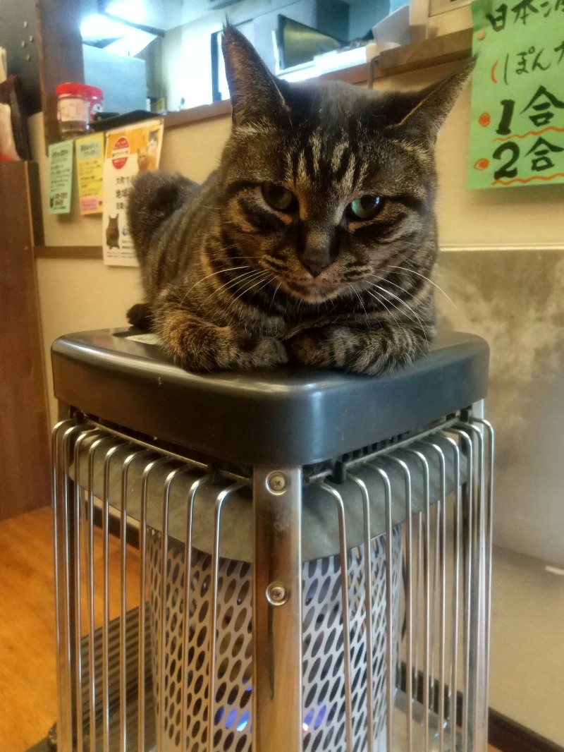 いせっち🦁誰與爭鋒さんのジェクサー・ライトジム&スパ24仙台のサ活写真