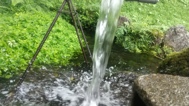 いせっち🐵轟紅不讓さんの湯之元温泉のサ活写真