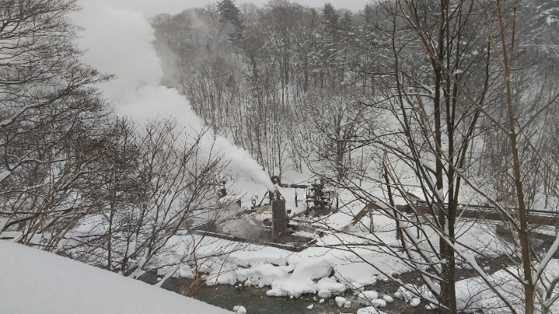 きょらねっせさんの八幡平温泉館 森乃湯のサ活写真