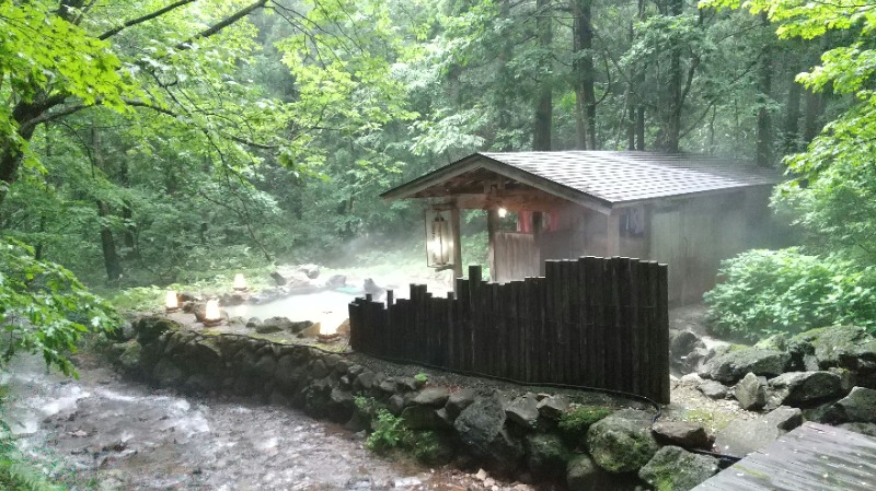 いせっち🦁霸氣稱王さんの仙北市民浴場 東風の湯(だしのゆ)のサ活写真
