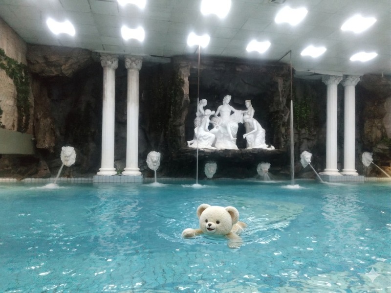 いせっち🐘鐵壁銅牆さんの亞太三温暖のサ活写真