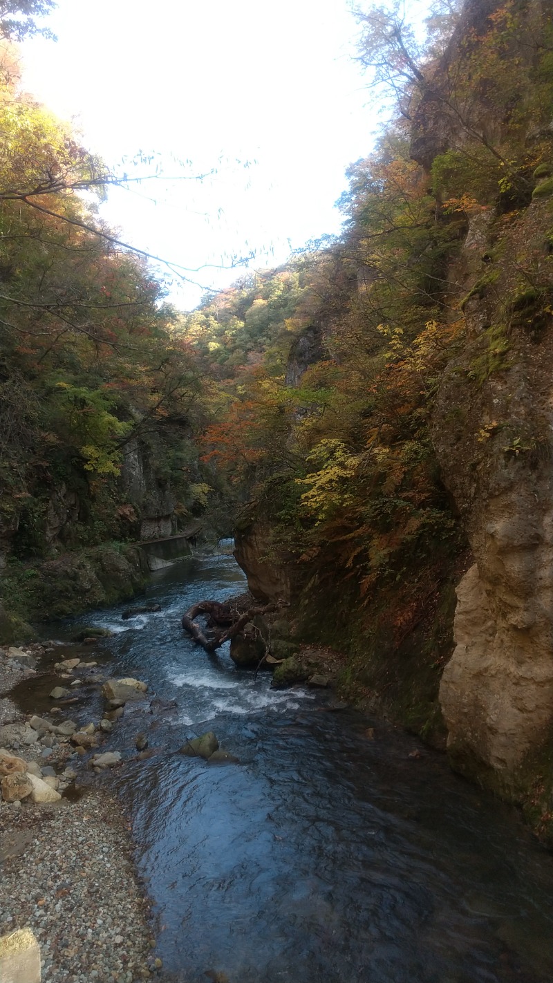 きょらねっせさんの鳴子温泉 旅館すがわらのサ活写真