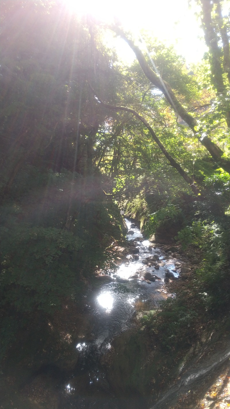 きょらねっせさんの鳴子温泉 旅館すがわらのサ活写真