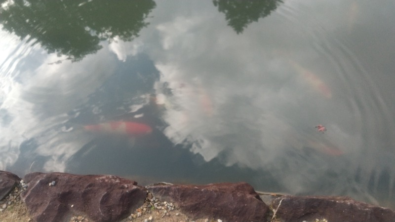 きょらねっせさんの鳴子温泉 旅館すがわらのサ活写真