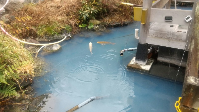 きょらねっせさんの鳴子温泉 旅館すがわらのサ活写真