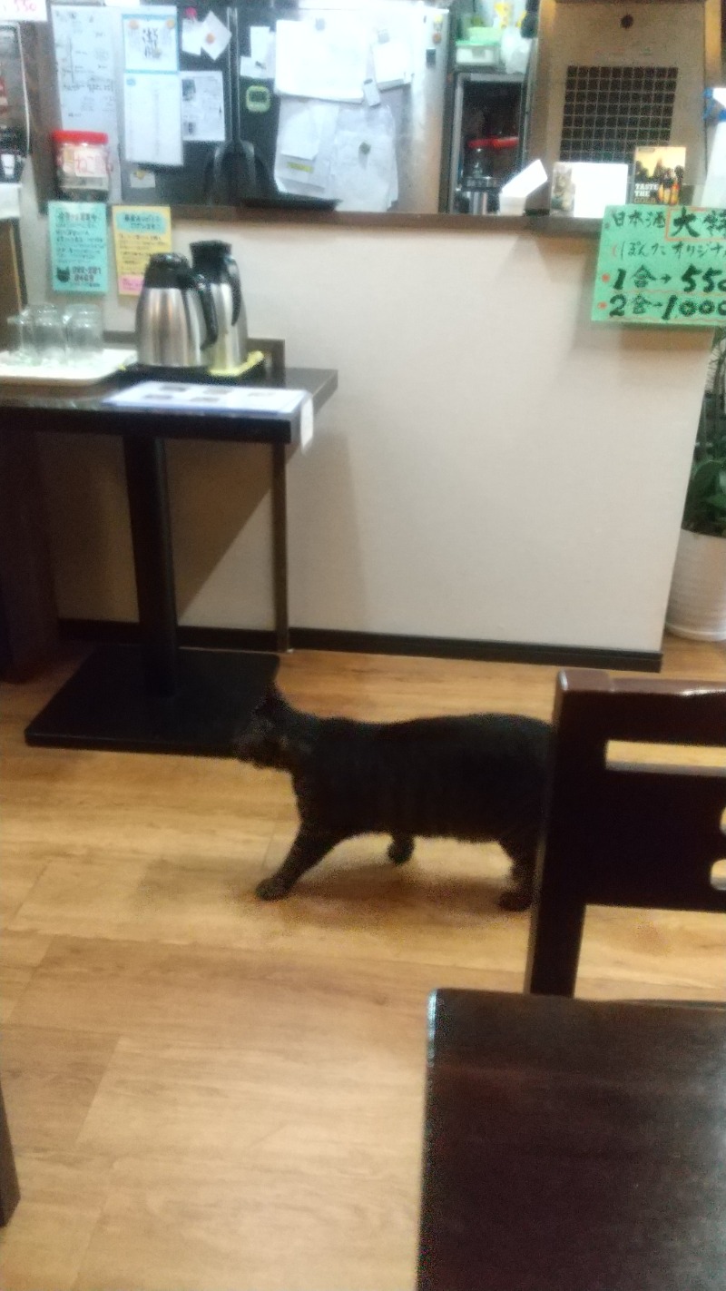 いせっち🦁霸氣稱王さんのサウナ&カプセル キュア国分町のサ活写真