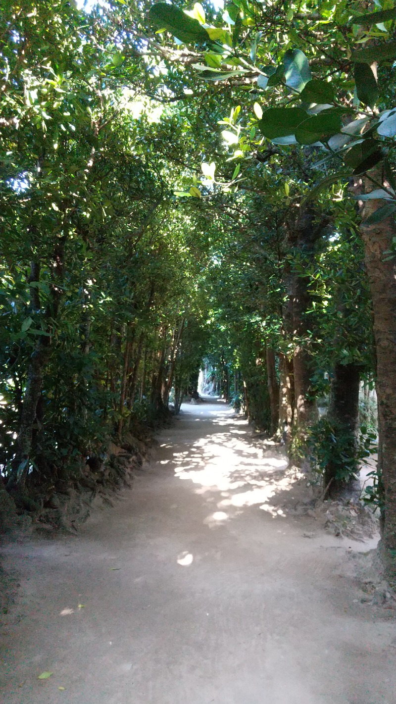 いせっち🐲大顯龍威さんの亜熱帯サウナのサ活写真