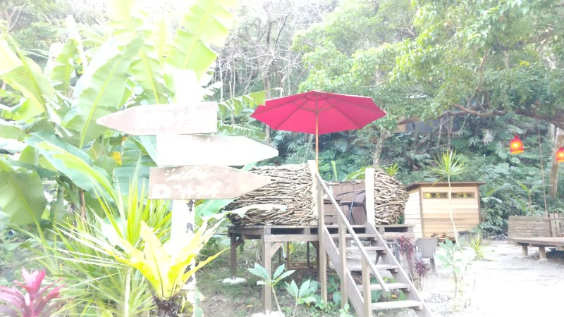 いせっち🐲大顯龍威さんの亜熱帯サウナのサ活写真