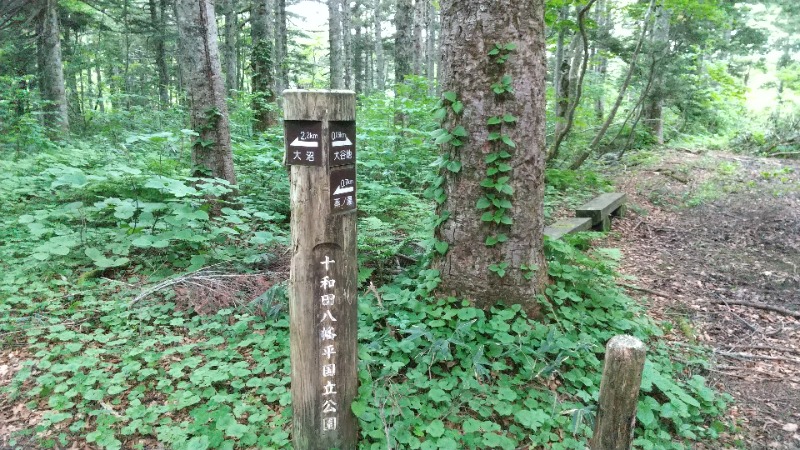 きょらねっせさんの新玉川温泉のサ活写真