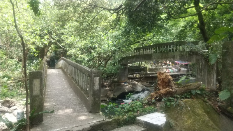 いせっちさんの川湯溫泉養生餐廳のサ活写真