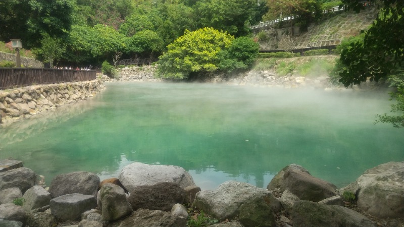いせっちさんの川湯溫泉養生餐廳のサ活写真