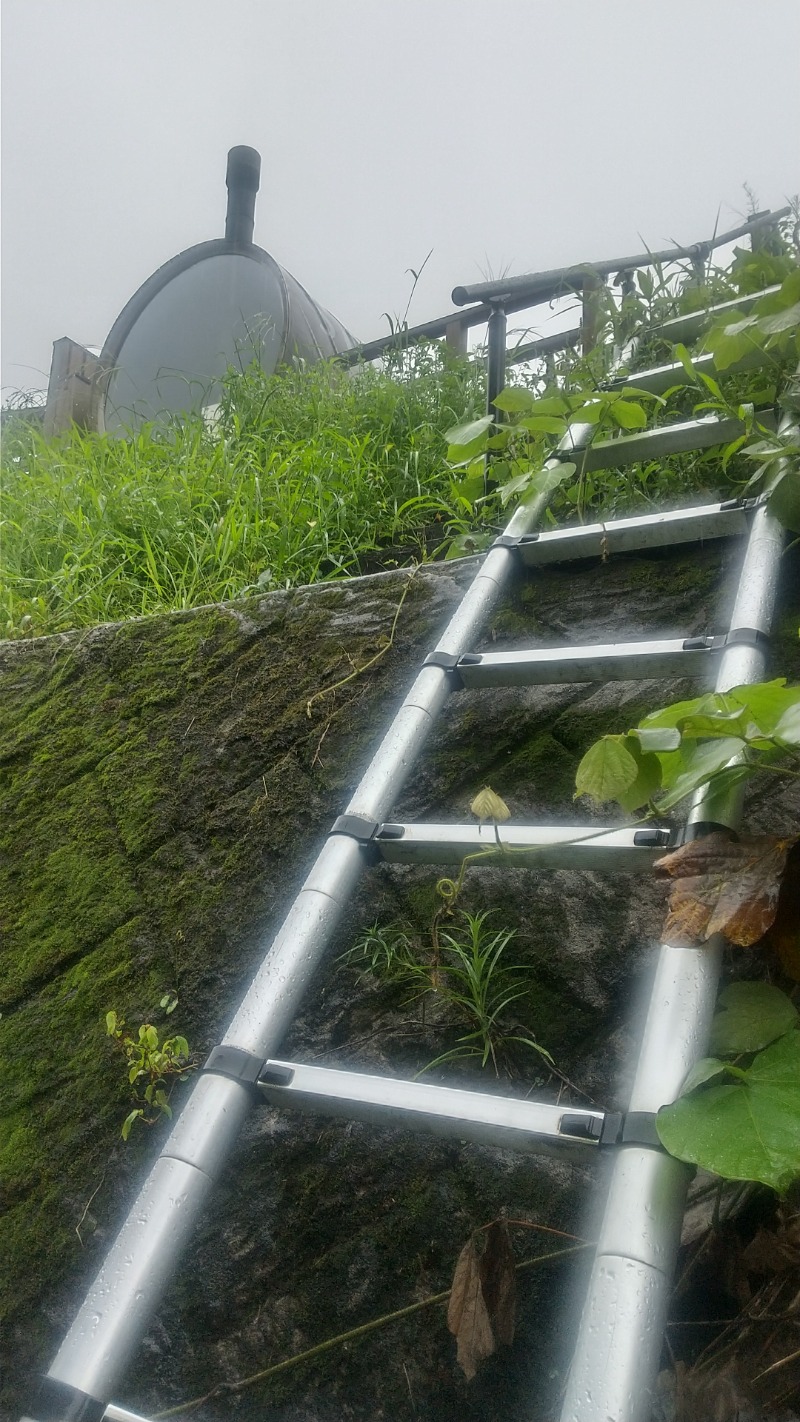 いせっち🐘勇敢的闖さんのsumu saunaのサ活写真