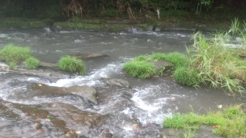 いせっち🐘勇敢的闖さんのsumu saunaのサ活写真