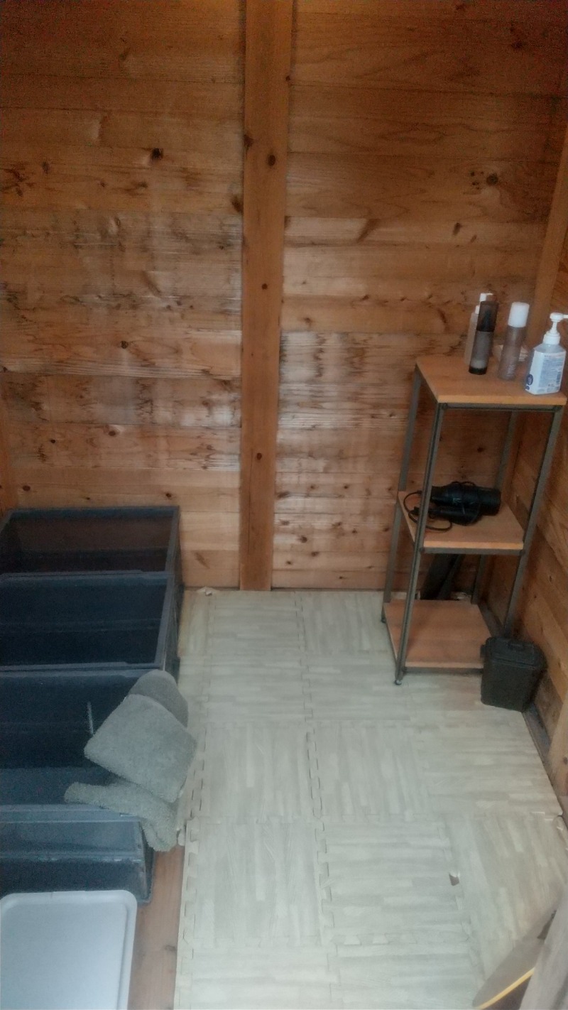 いせっち🐘勇敢的闖さんのsumu saunaのサ活写真