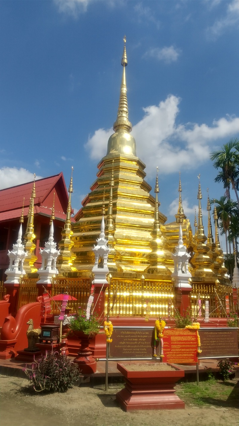 いせっち🦁霸氣稱王さんのHerbal steam houseのサ活写真