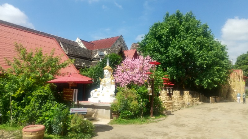 いせっち🦁霸氣稱王さんのHerbal steam houseのサ活写真