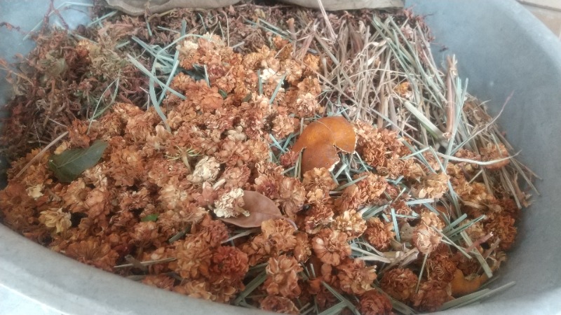 いせっちさんのPho Lek Baked Herb Sauna 101のサ活写真