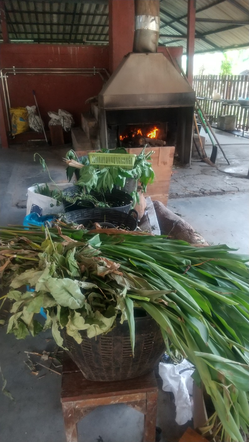 いせっちさんのDao Herbal Steam เตาอบสมุนไพรのサ活写真