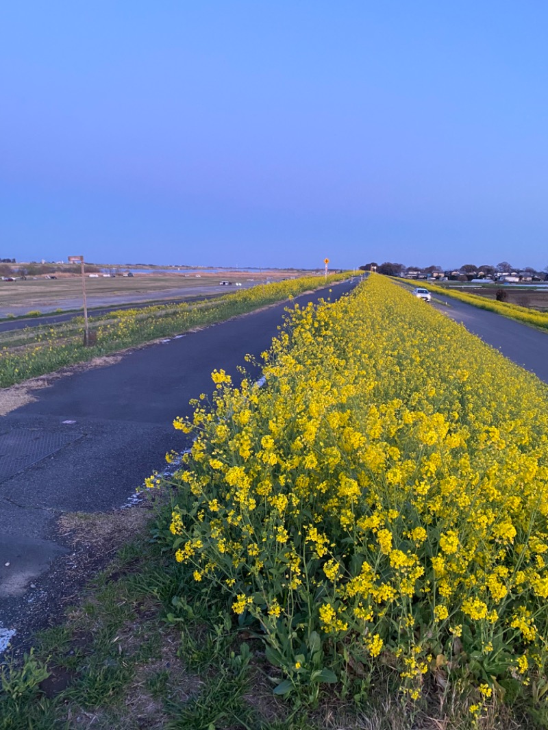 なおさんの花湯スパリゾートのサ活写真