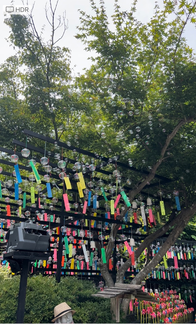 アンチサウナーさんの道の駅 おおとう桜街道 さくら館のサ活写真