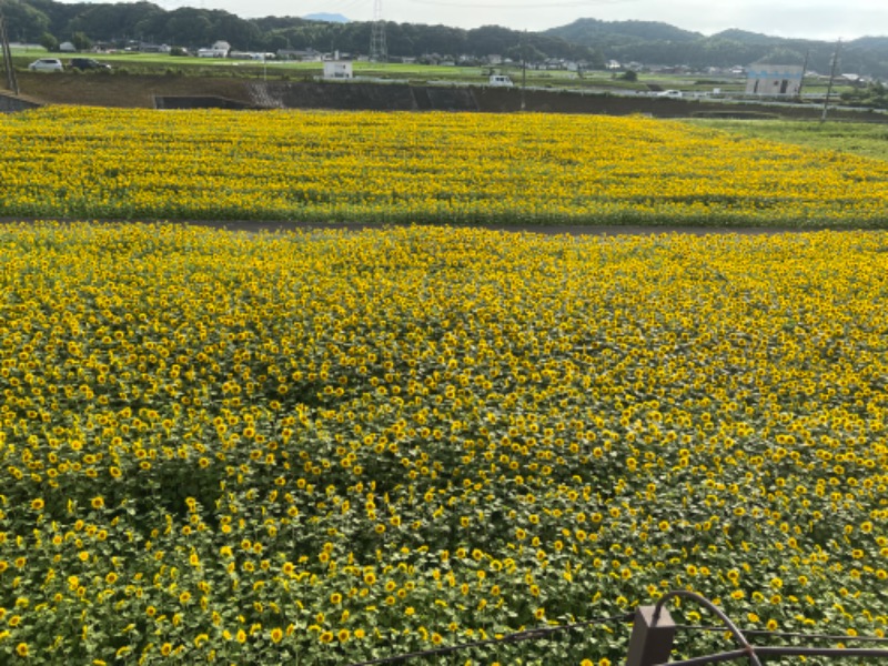 アンチサウナーさんの道の駅 おおとう桜街道 さくら館のサ活写真