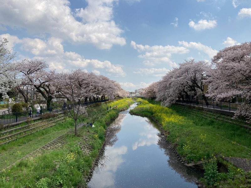 kimoさんのそしがや温泉21のサ活写真