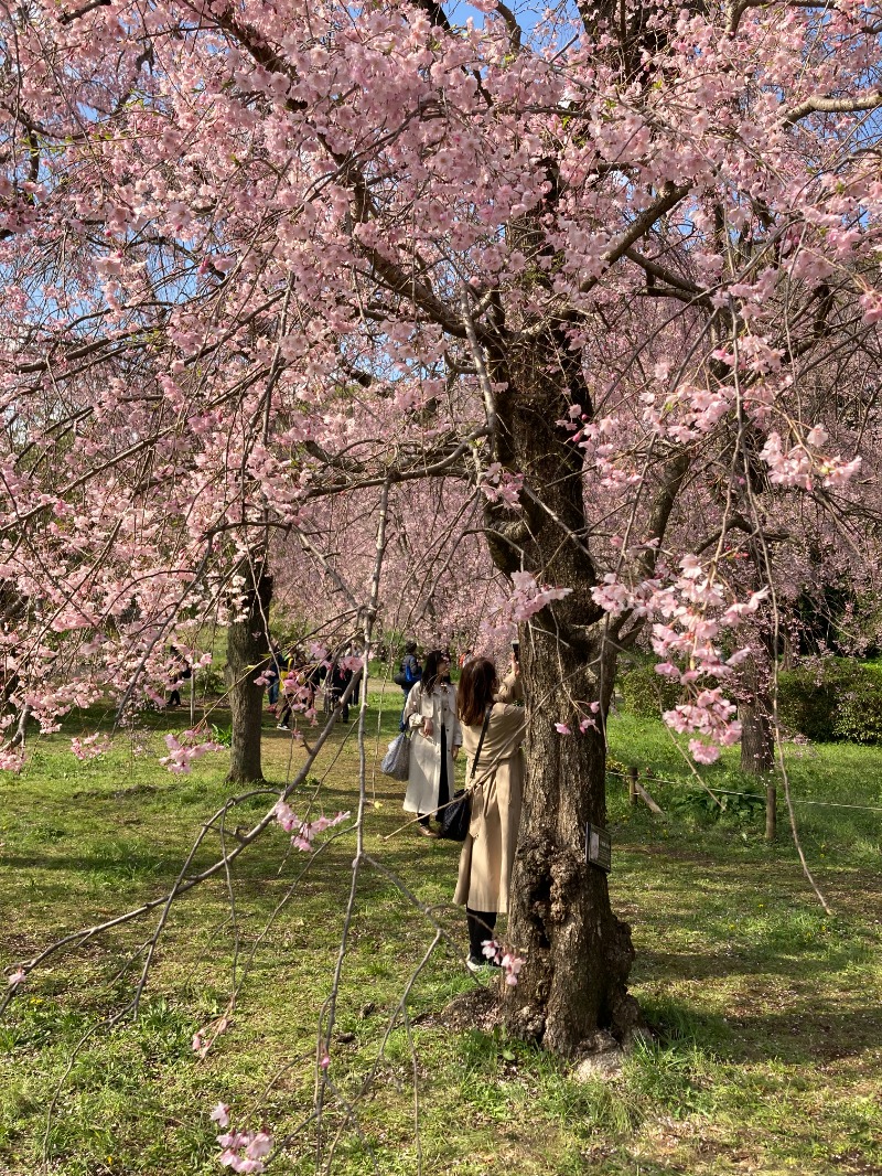 kimoさんのそしがや温泉21のサ活写真