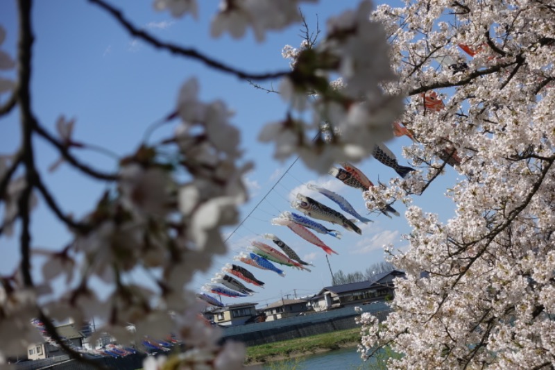 NAO.さんの盛南温泉 開運の湯のサ活写真