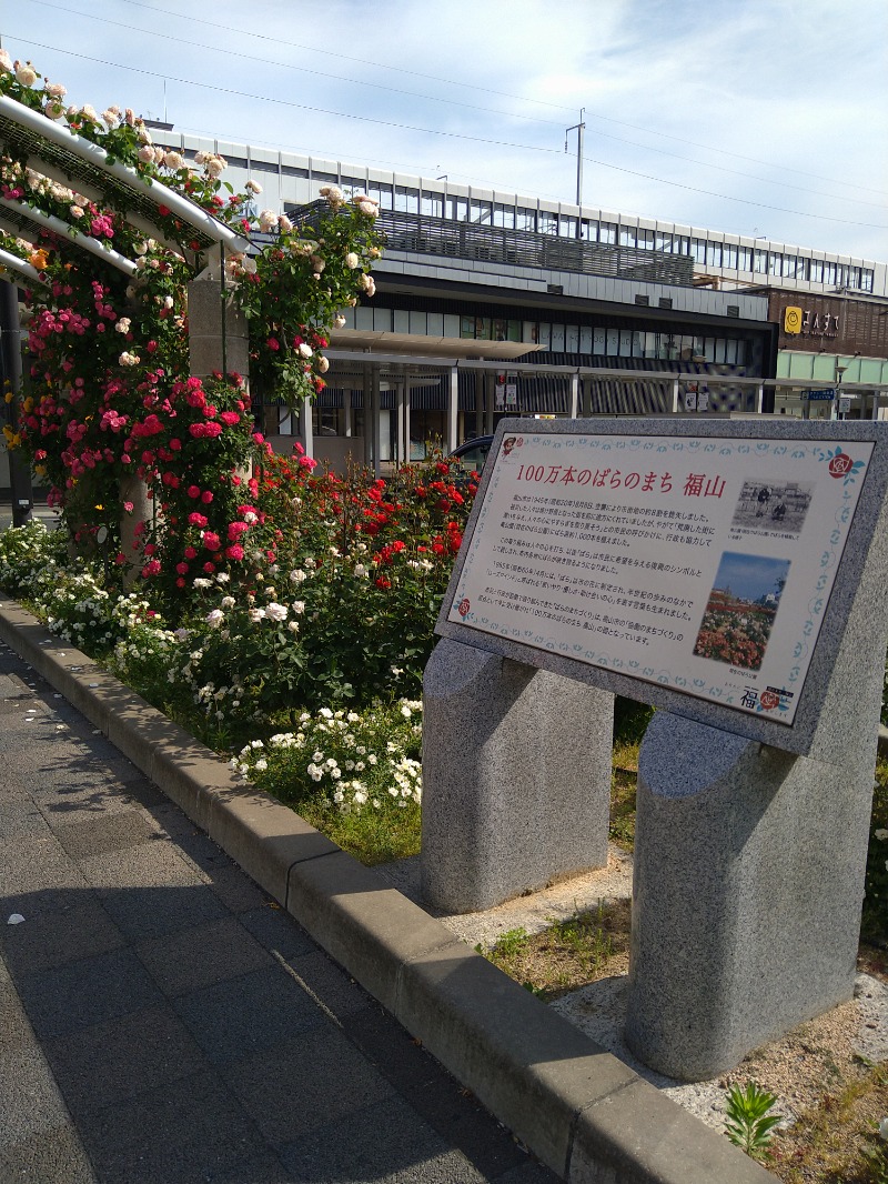 biscottiさんの天然温泉コロナの湯 福山店のサ活写真