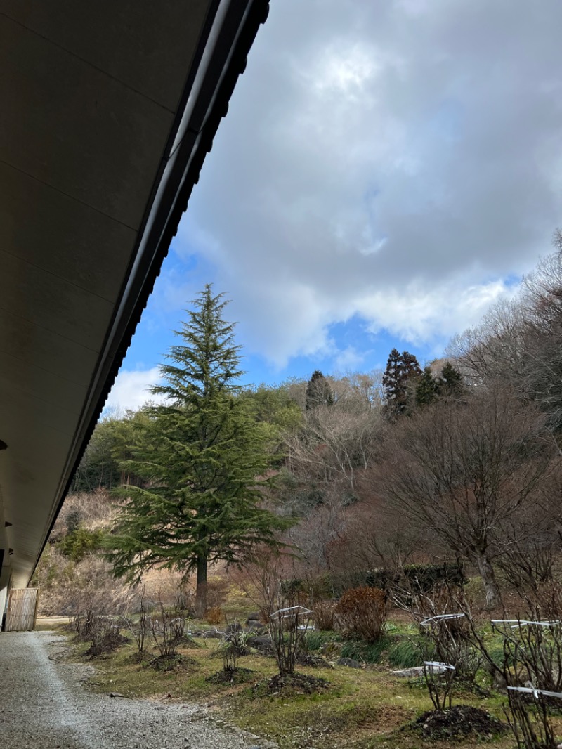 Tanchaさんの光信寺の湯 ゆっくらのサ活写真