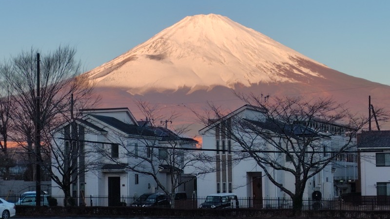 がんこさんの天然温泉 富士桜の湯 ドーミーインEXPRESS富士山御殿場のサ活写真