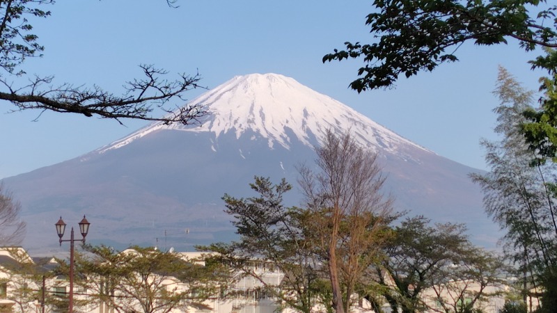がんこさんの天然温泉 富士桜の湯 ドーミーインEXPRESS富士山御殿場のサ活写真