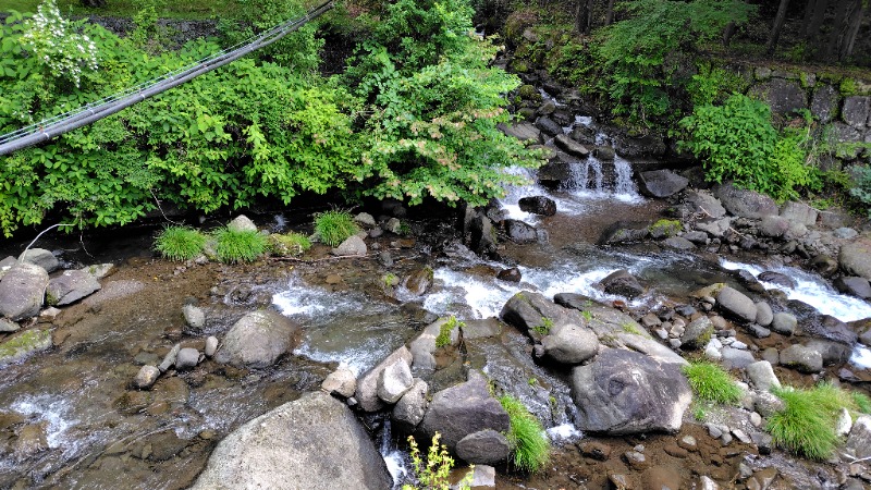 がんこさんの天子荘 てんからハウスのサ活写真