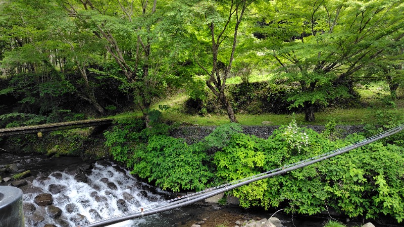 がんこさんの天子荘 てんからハウスのサ活写真
