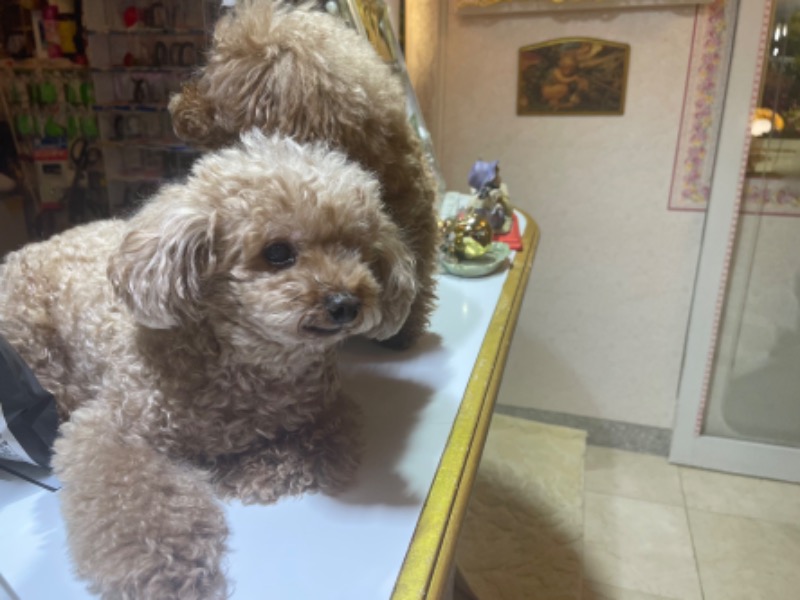 sunny☀️さんのクアパレスのサ活写真