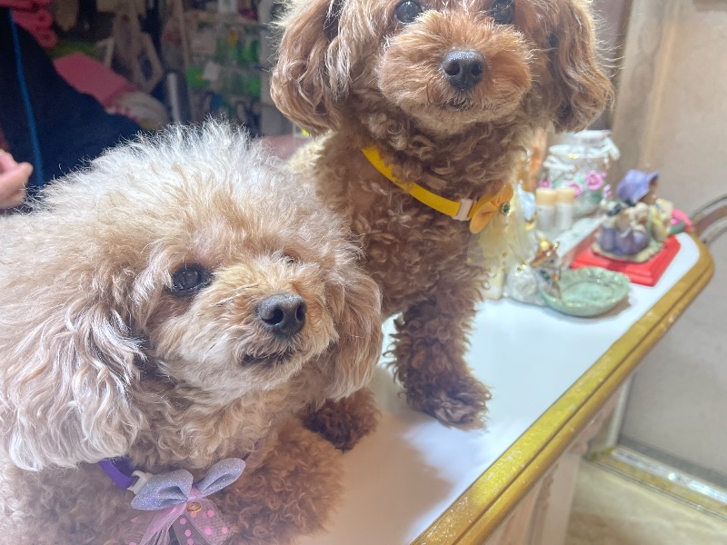 sunny☀️さんのクアパレスのサ活写真