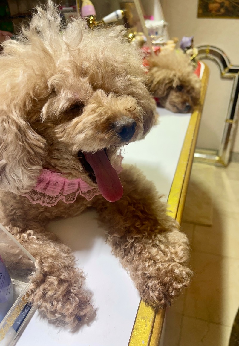 sunny☀️さんのクアパレスのサ活写真