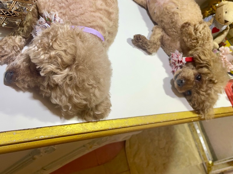 sunny☀️さんのクアパレスのサ活写真