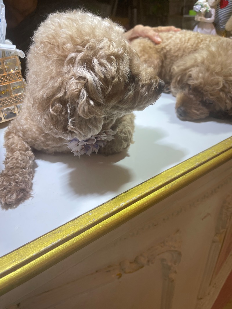 sunny☀️さんのクアパレスのサ活写真