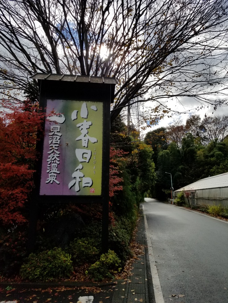 サウナー整体師ひのっちさんの見沼天然温泉 小春日和のサ活写真