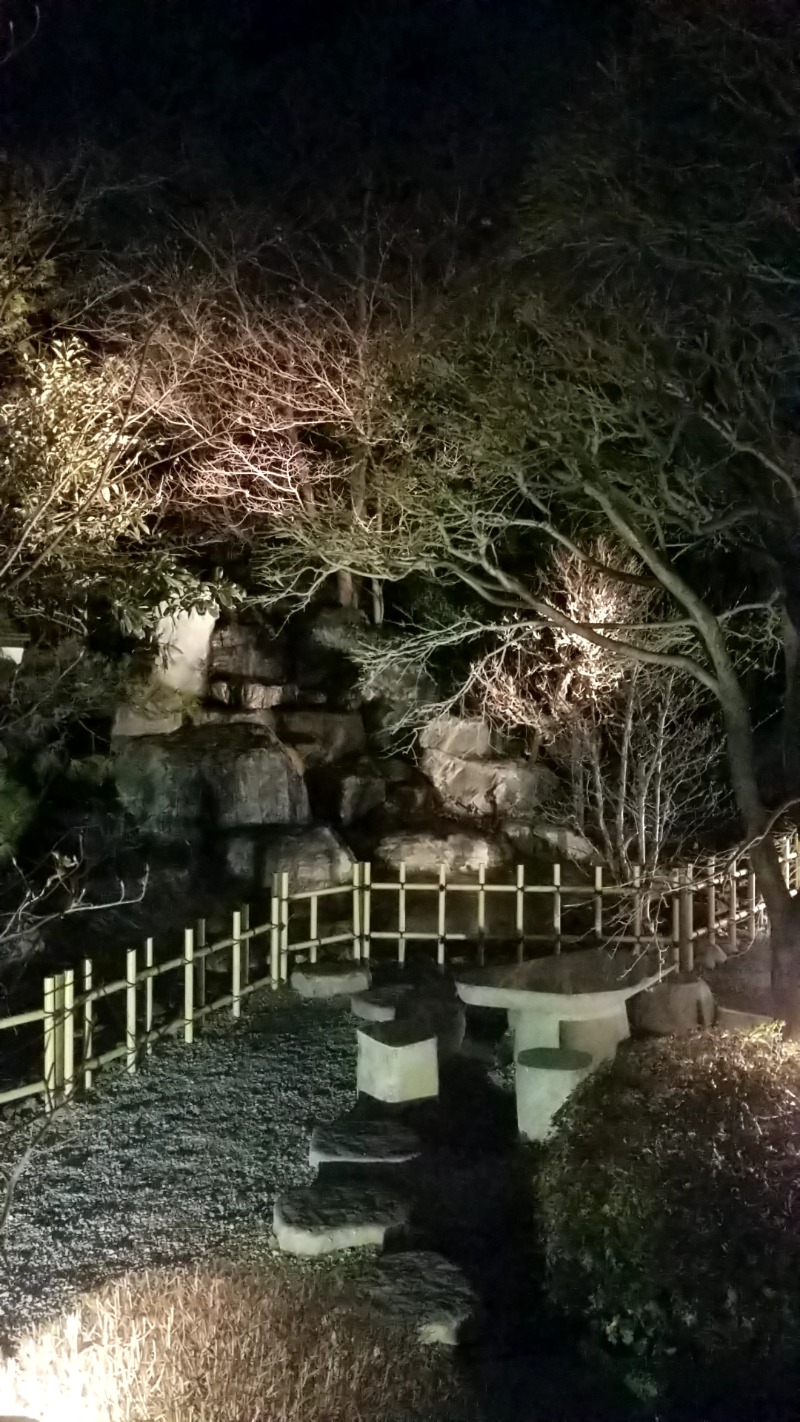 サウナー整体師ひのっちさんの見沼天然温泉 小春日和のサ活写真