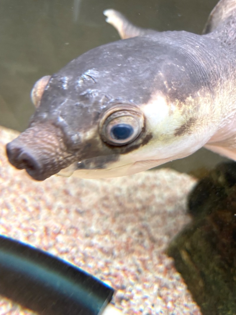 ぷかぷくさんの松本湯のサ活写真