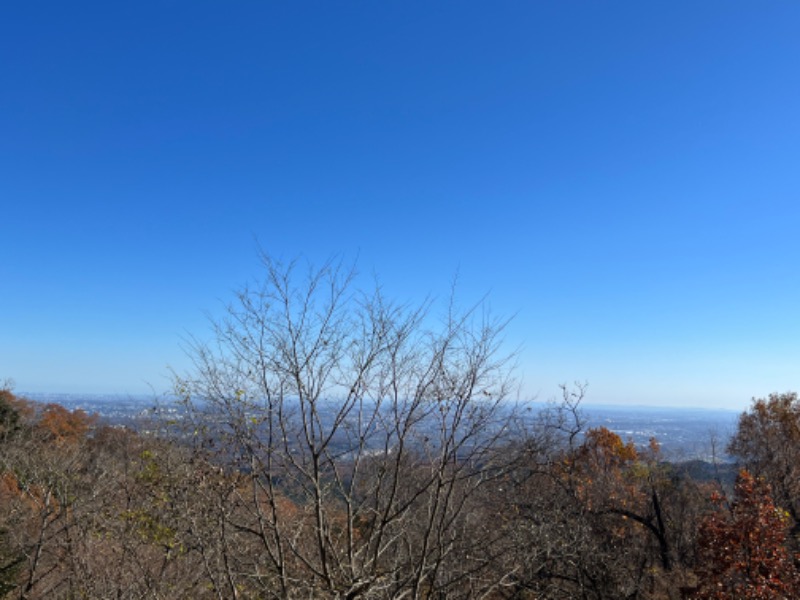 ゆりぺーさんの京王高尾山温泉 極楽湯のサ活写真