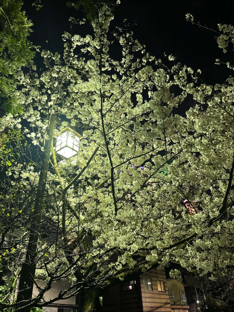 うさぎくんさんの天然温泉 楽天地スパのサ活写真