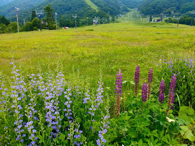 さと しゅんさんの安曇野 しゃくなげの湯のサ活写真