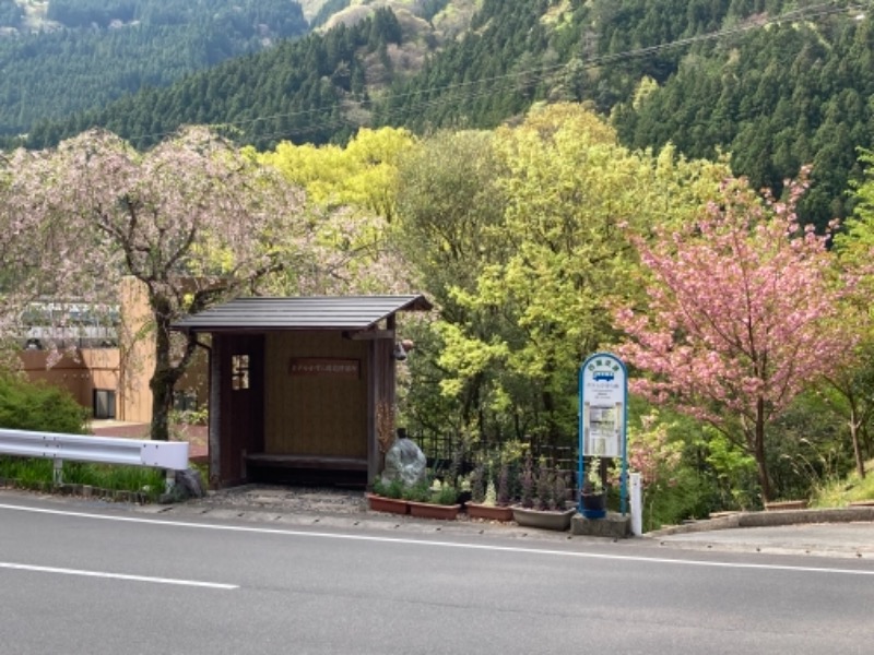 れさわさんの新祖谷温泉 ホテルかずら橋のサ活写真