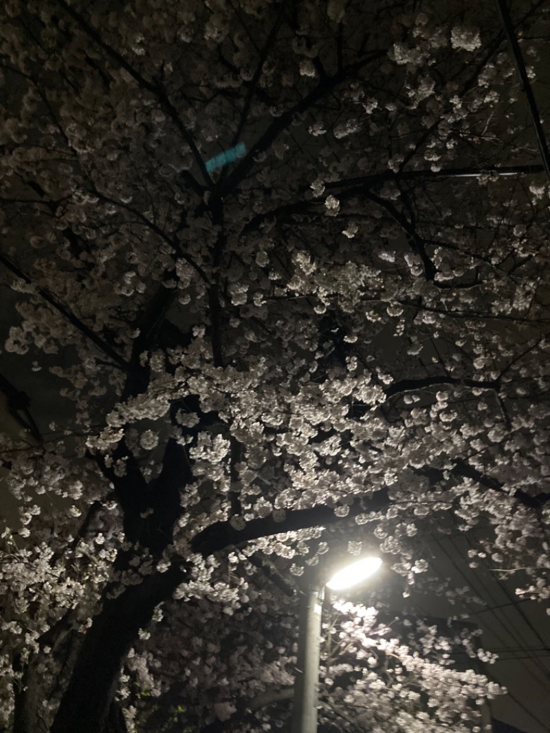 れさわさんのROOFTOPのサ活写真