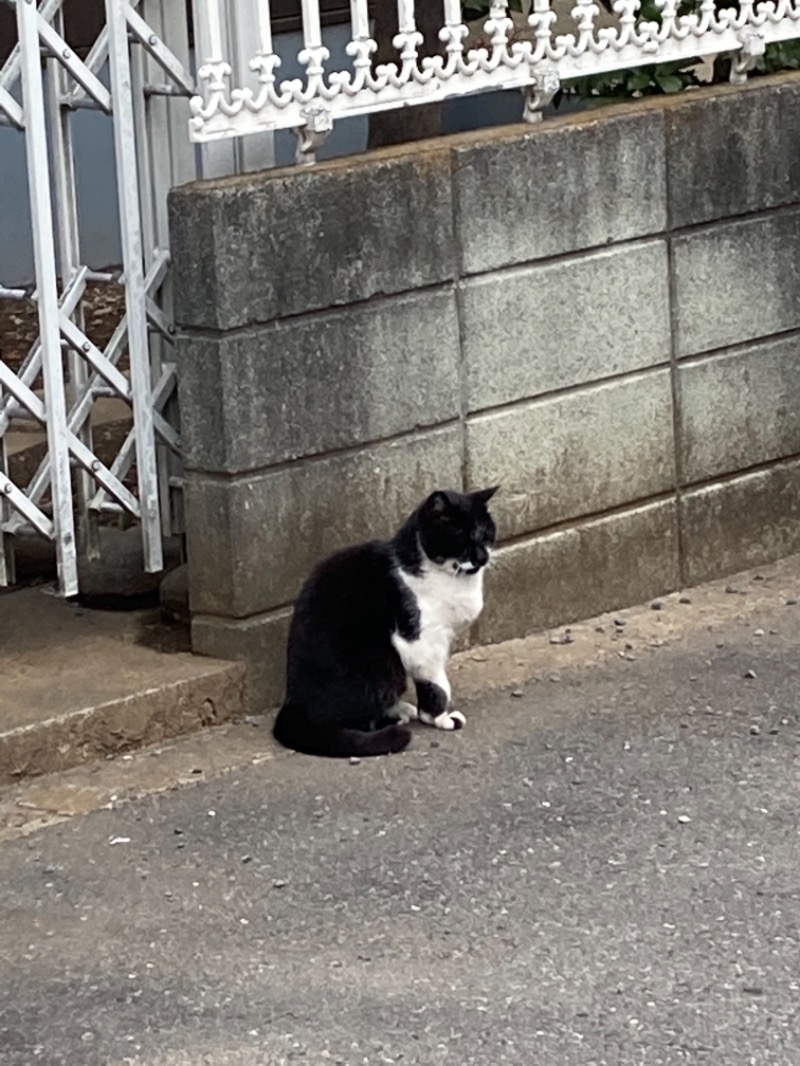 れさわさんの山の湯のサ活写真